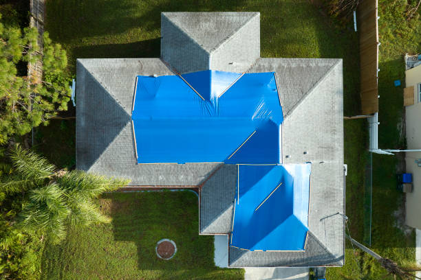 Best Roof Moss and Algae Removal  in Mendon, UT