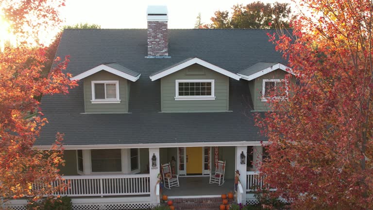 Best Chimney Flashing Repair  in Mendon, UT